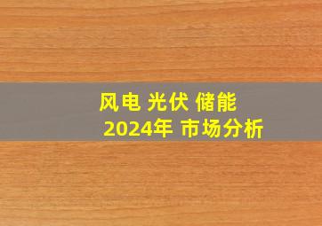 风电 光伏 储能 2024年 市场分析